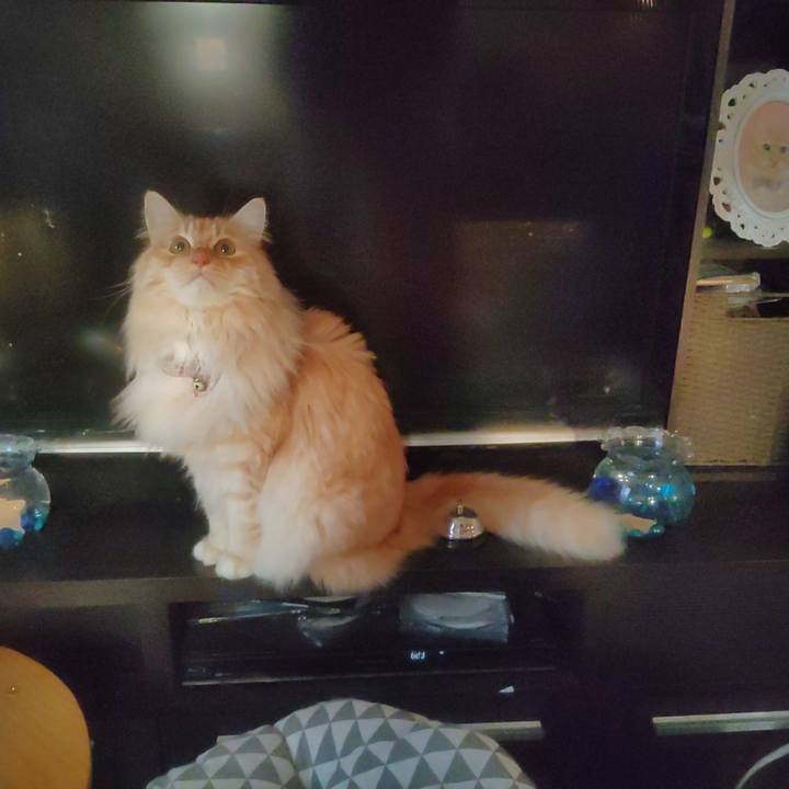 A17c6adc 3e1d 415e 9ec7 0067ccbe3737 1678916753711