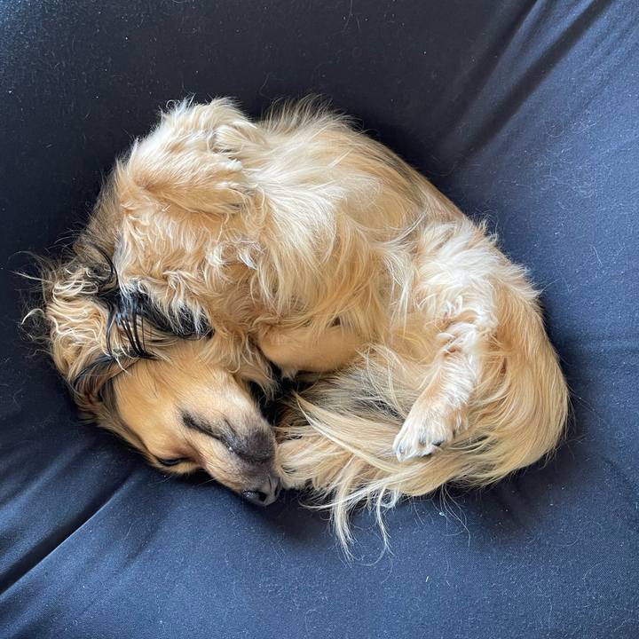 A17c7a1c 731f 4877 aef8 019add6fb55c 1709089915781