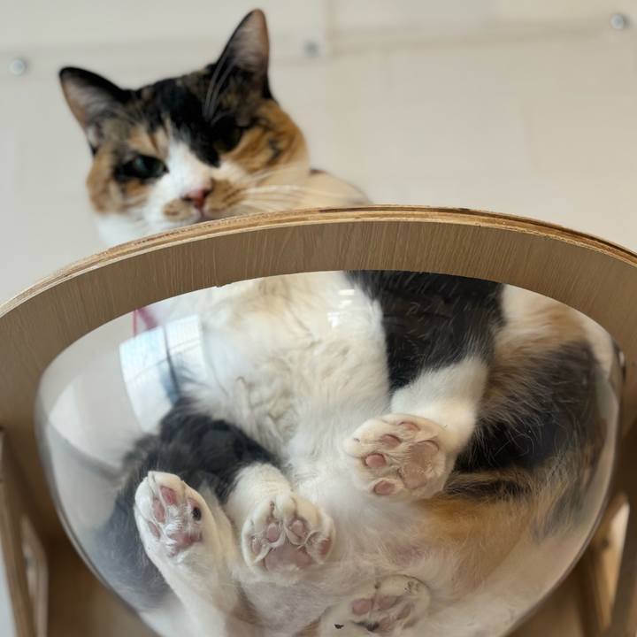 A17cb9e4 f915 4971 a418 015e38986f2a 1766924287025