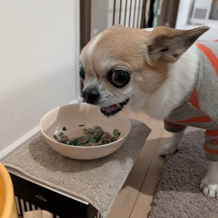 A17cbfdd 3510 4515 838f 6ec2f78f7299 1765105258393