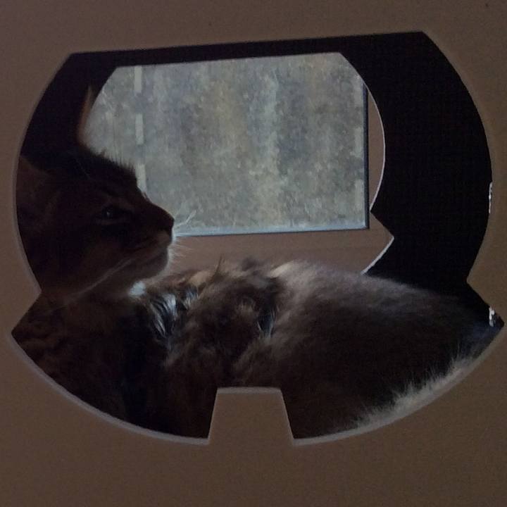 A17cc4f4 b734 48b8 88dd 727f28ae7445 1575018245282