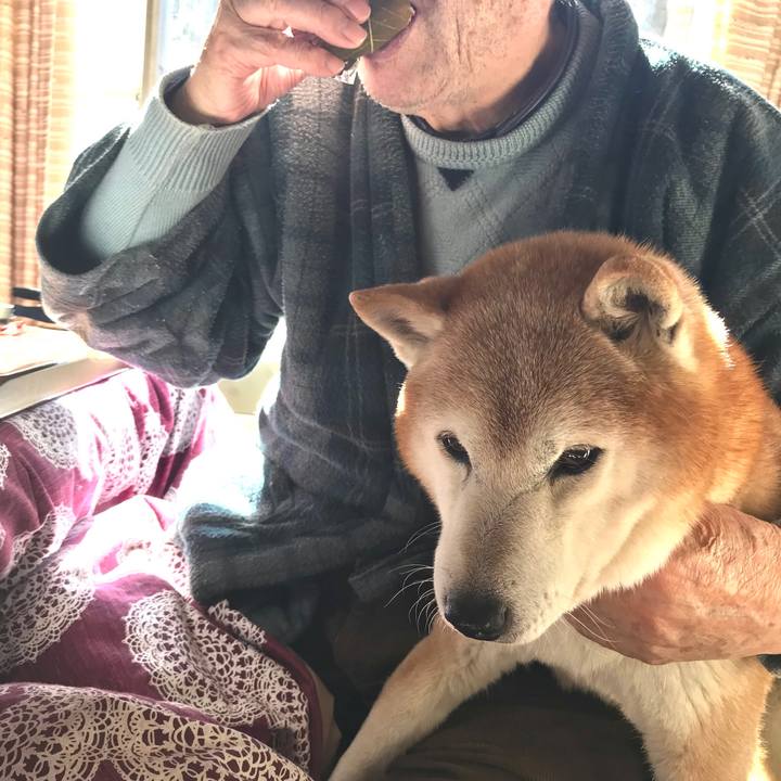 A17d6df9 1421 4b6d aa41 8f96fb1dff1b 1518600257847