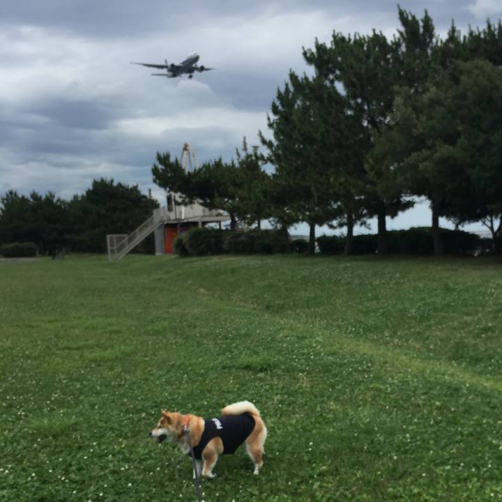 A17d989d 3d17 4ad6 bc79 57cbe21e8ced 1561625624333