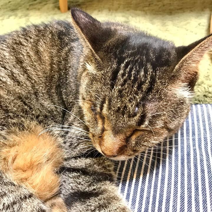 A17d9db5 fa33 4707 a632 c7761fa6f576 1631537293157