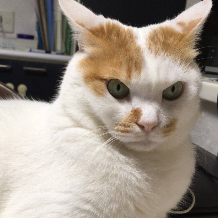 A17e05a9 2c0d 4e88 a9f2 8a32c2ebd4b1 1509110638158