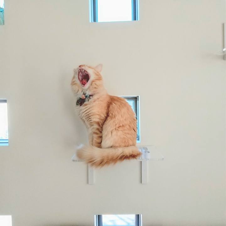 A17e102f eff7 4987 a90a 7cb00b3c1ba2 1635045490754