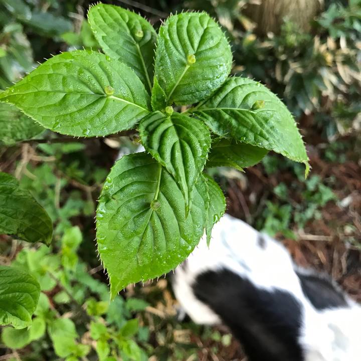 A17e2916 dddf 4aef 9fdd 5b05b5c2d2c9 1524146557985