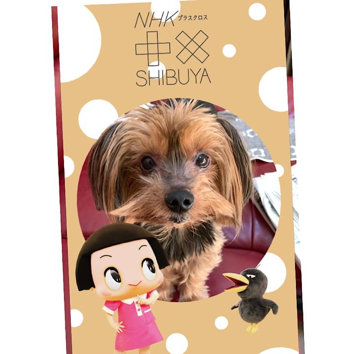 A17e298c a718 43ee ba60 965da2152d1a 1578106692354