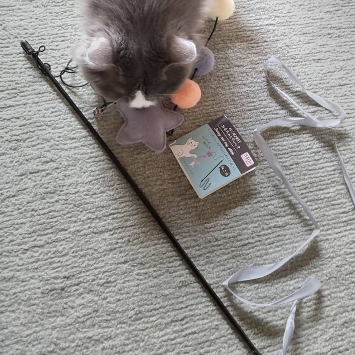 A17e95f6 b6f1 44f7 86e6 ae9e13120a0e 1674957201223