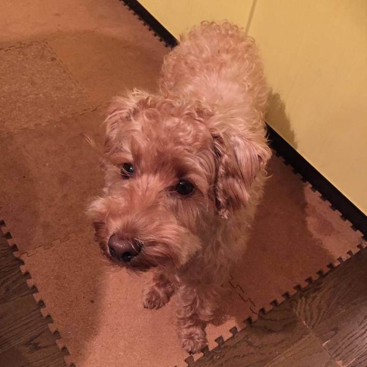 A17ebfe8 e665 4c09 a2d1 47a5d419df56 1510401205588