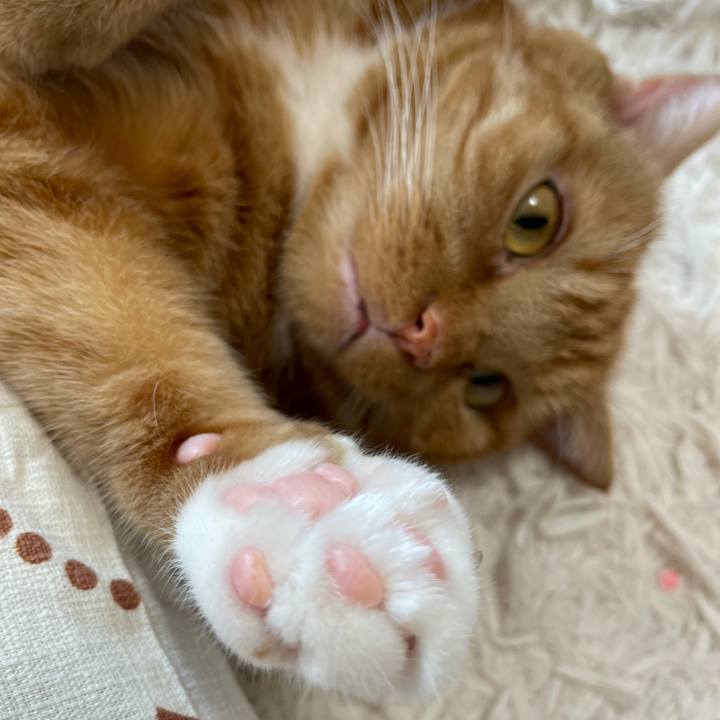 A17f0d40 6e09 4a24 9ca3 e8a1102013b5 1633758496893