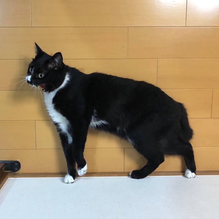 A17f0eeb 17b5 44fc 8a15 75c5c46d4259 1551239631850