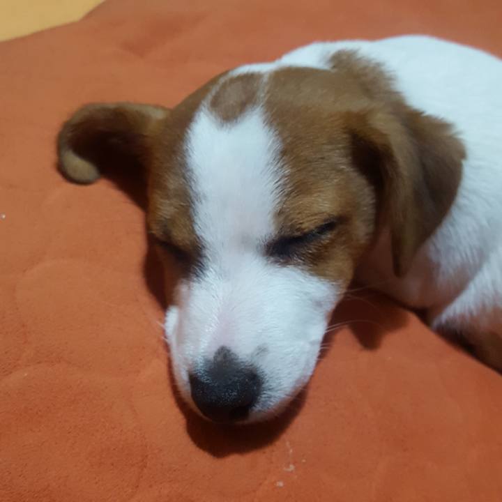 A17f5aae 27bd 4d15 ae1a e29200a604ca 1550139112386