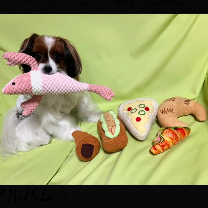 A17f8289 c750 43bd a87a 005dcf03d784 1737529033507