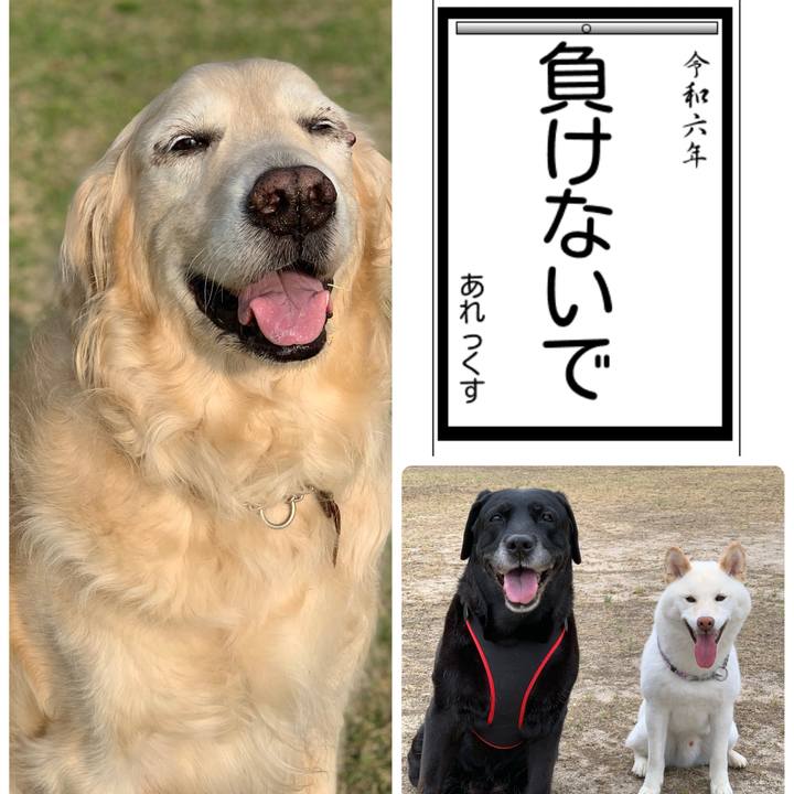 A17fa350 c5ff 44b7 8a82 ea88a23a2157 1704868198777