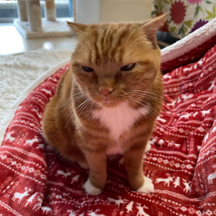 A17fd3ab a947 41fc ab21 4b609df19ffd 1682858382824