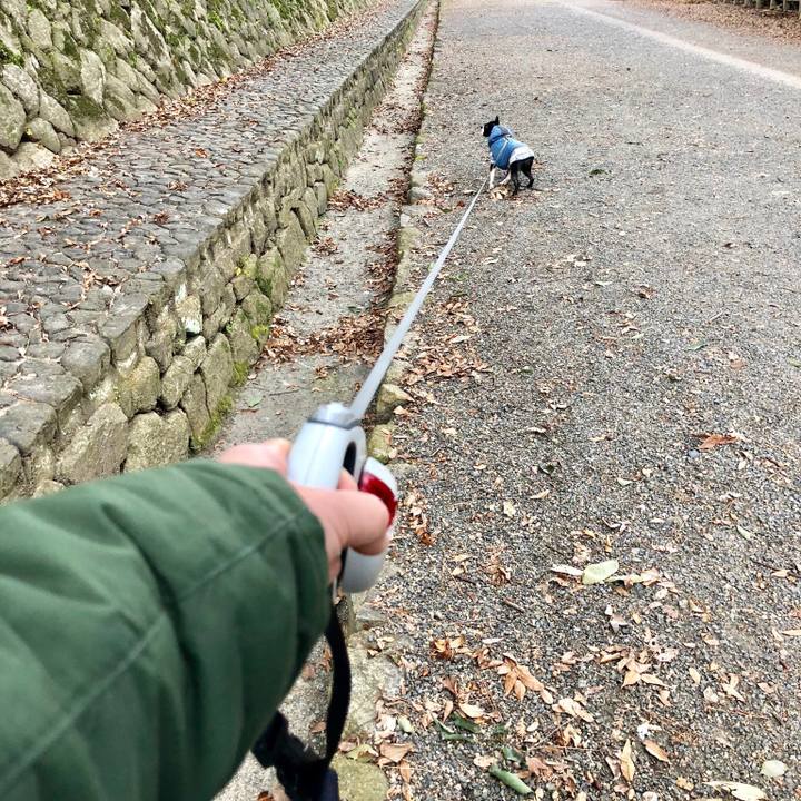 A18009e3 694f 4b0c b20a 29f332045fda 1517298930757