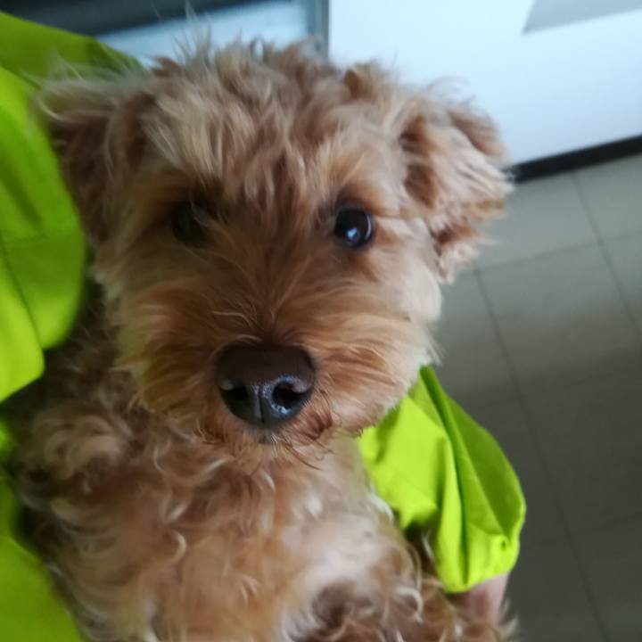 A180140a 8150 4fb3 9dc4 b978d8540cad 1526182459325