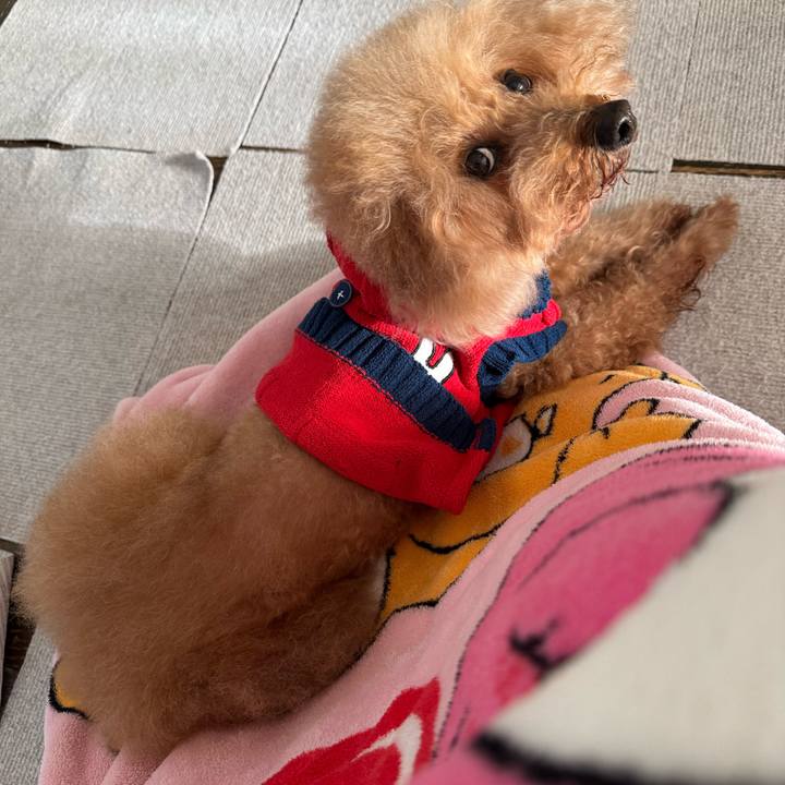 A1802a54 29a4 41d9 8a99 19ca25f7cd62 1763961818792