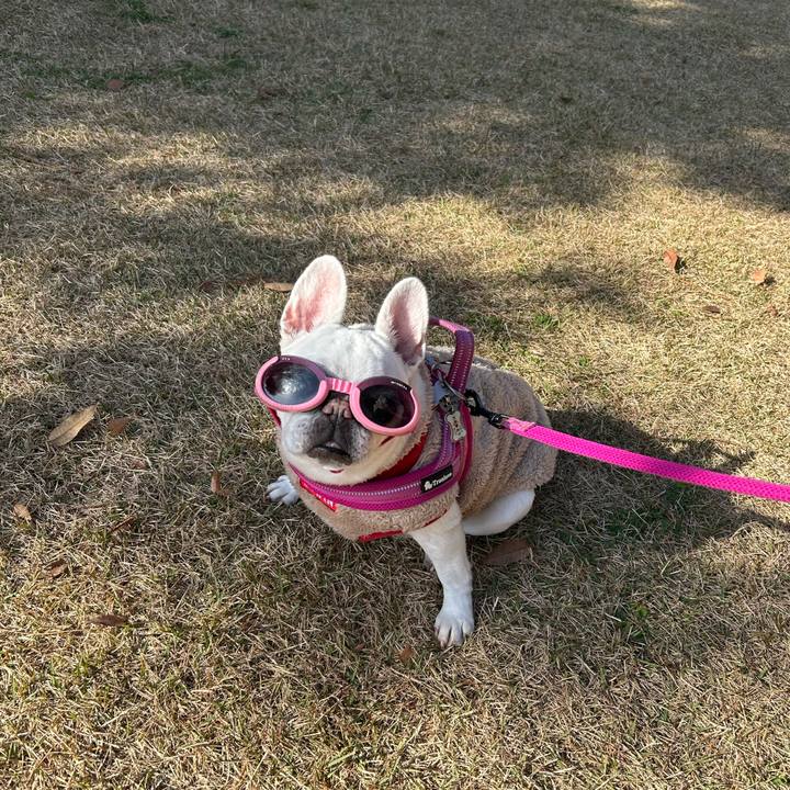 A180516c ff20 4fa8 bde2 8baf88534ef7 1764474375523