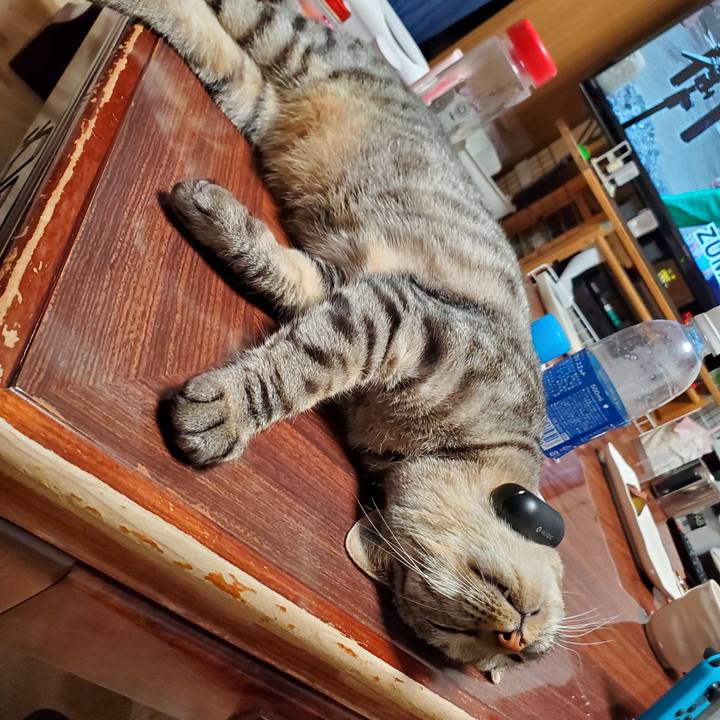 A180588e c89f 4cd8 ac28 f181fabe04ee 1713235212732