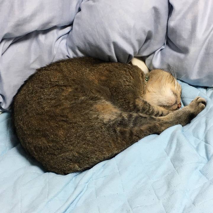 A1806f48 1849 4961 9e5d 6d7eaada1c78 1592123813745