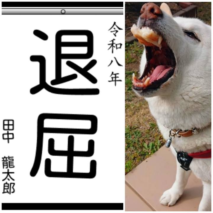 A18070fb 23b7 4ab1 8c14 2c6a1bed01cc 1768215956553