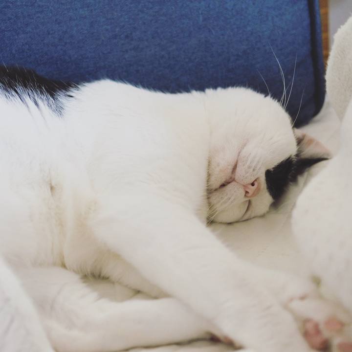 A1807d60 2870 4603 a449 cf9208306950 1617273114701