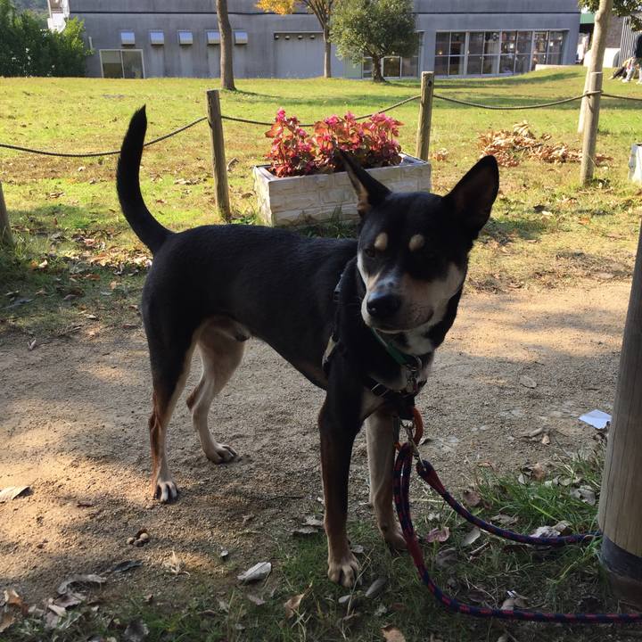 A180907e 0056 4dd5 928b 74122eb53eb9 1509855695440