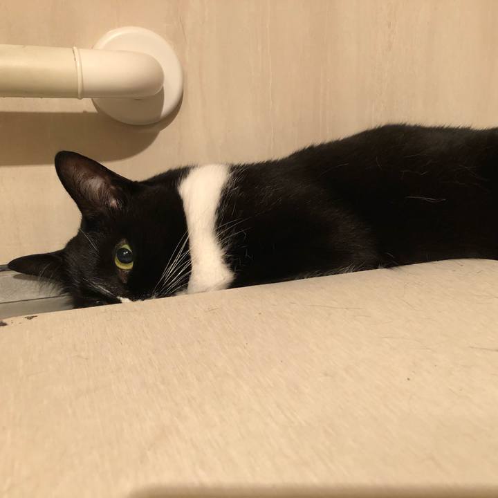 A180a1ae 5ec4 46c3 81ef 2c05f19aadbd 1585173678181