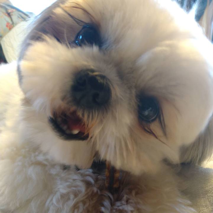 A180ac03 014a 4709 965e 090a1a6c62f2 1614037808658