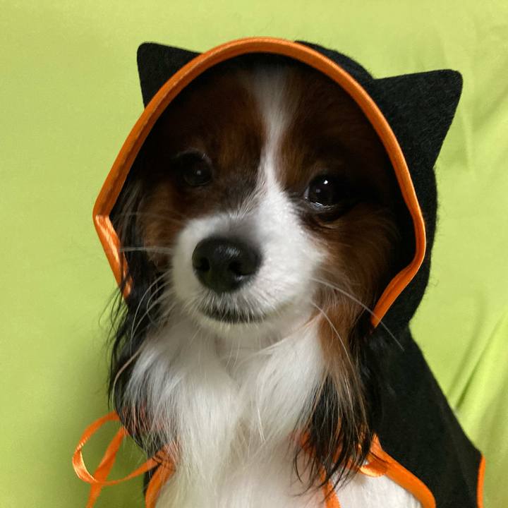 A180b5b1 5cf6 4304 ba83 3fe700aa10ca 1635682674561