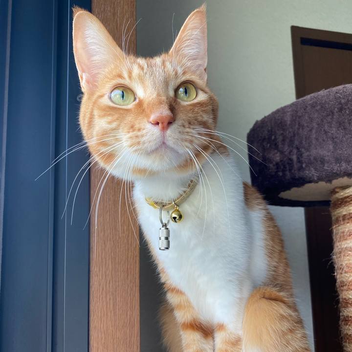 A180f0a7 a8a5 44a6 a6d4 a935dfb87e43 1589270206544