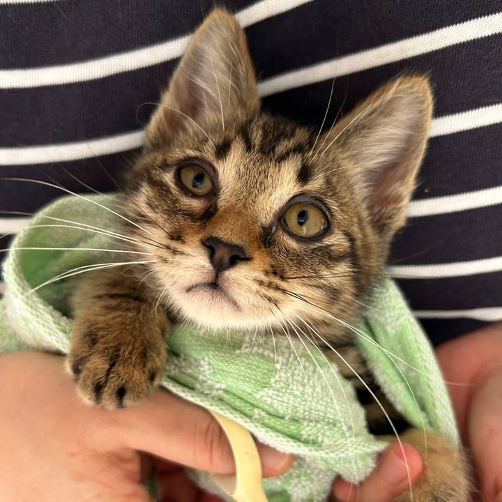 A180f2dd 08fd 45fb b63c 7dc32a4baa37 1725668399428