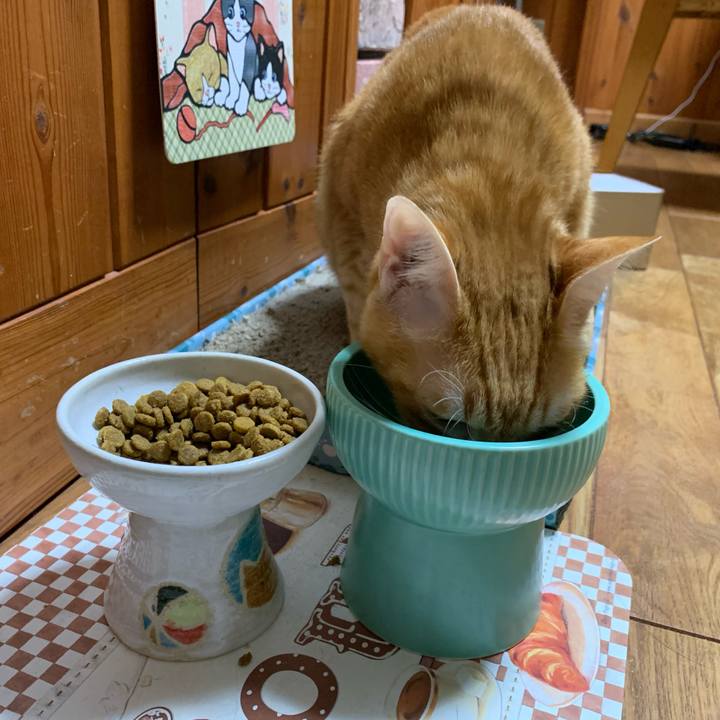 A1811497 7162 4863 b5c2 63e0467cf692 1607691704162