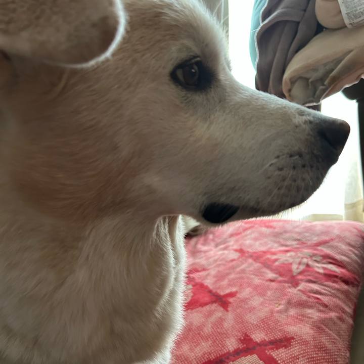 A1815f3c 8e43 40ff a53a 8edcd77deba7 1694934657873