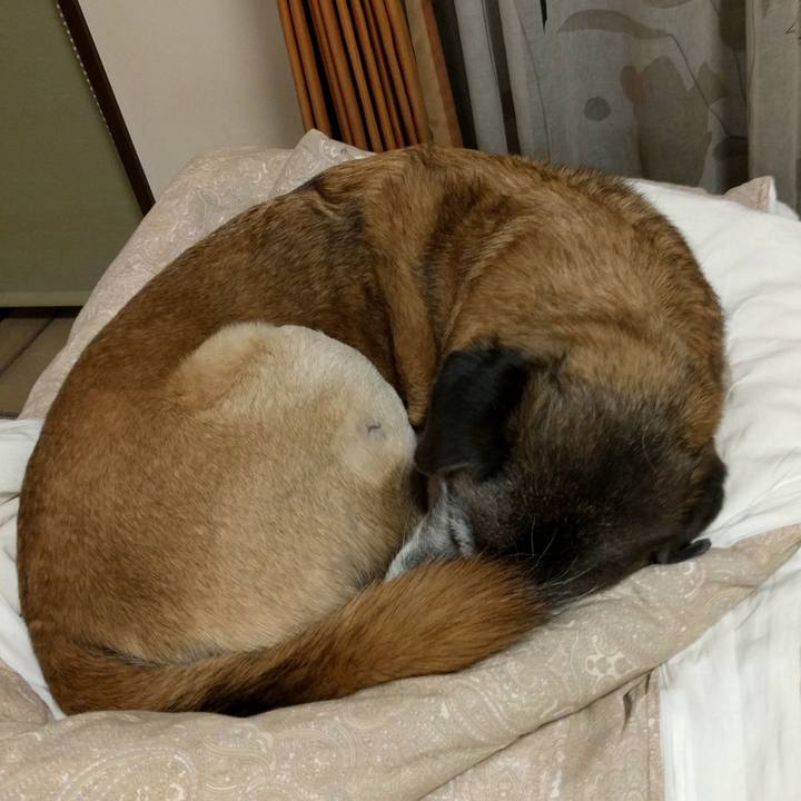 A1816493 fbce 4117 b7b3 eea59675553b 1518647778763