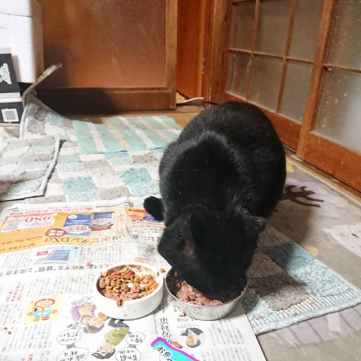 A1816baf 5ac9 4288 8e6c 6b6fb01a93f6 1646997213563