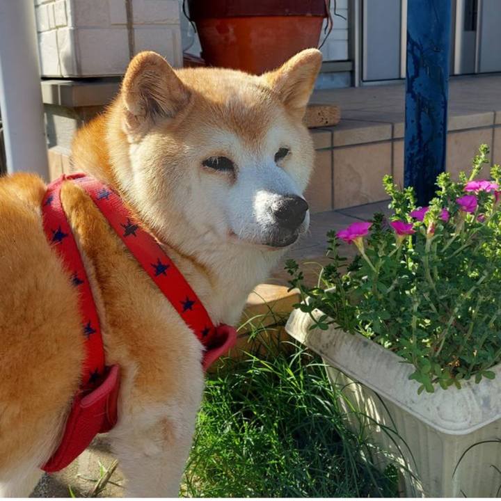 A181e234 6870 4ad5 ace9 917acc522dcd 1706995869079