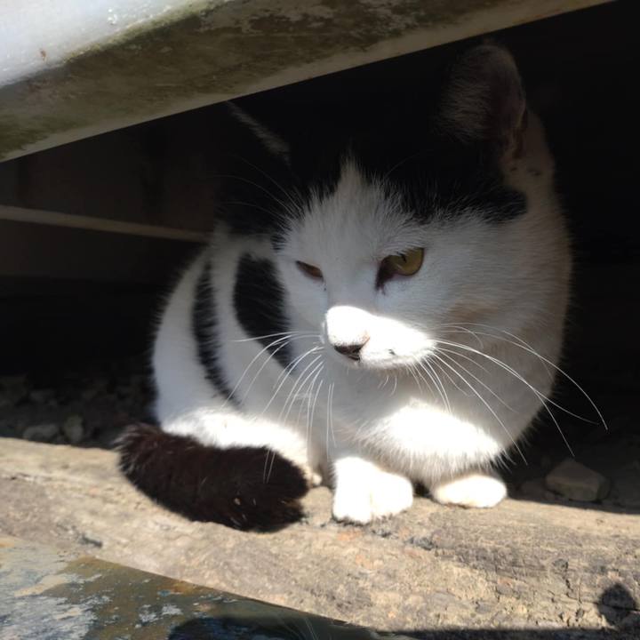 A1820415 fa12 48c4 8b29 7000ba57f8dd 1732591092694