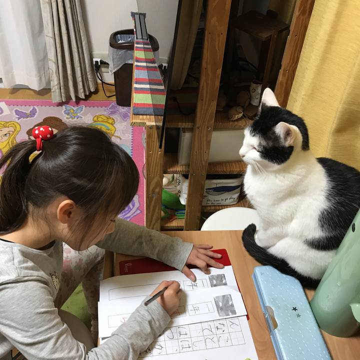 A1824c3a daf1 4240 b49c 8c0184d6ea82 1516089641253