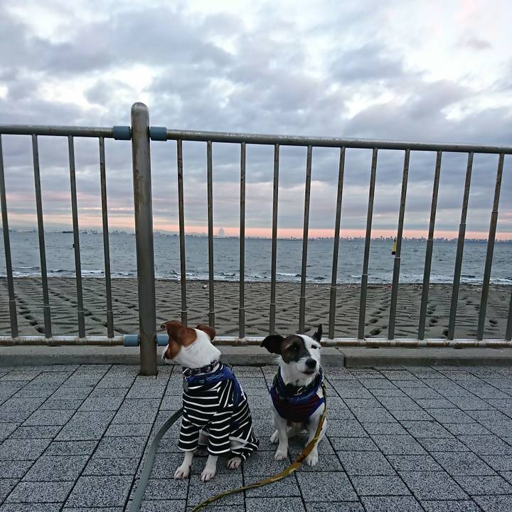 A182b1e8 4778 4489 a5c1 e0f5061e4095 1543009009144