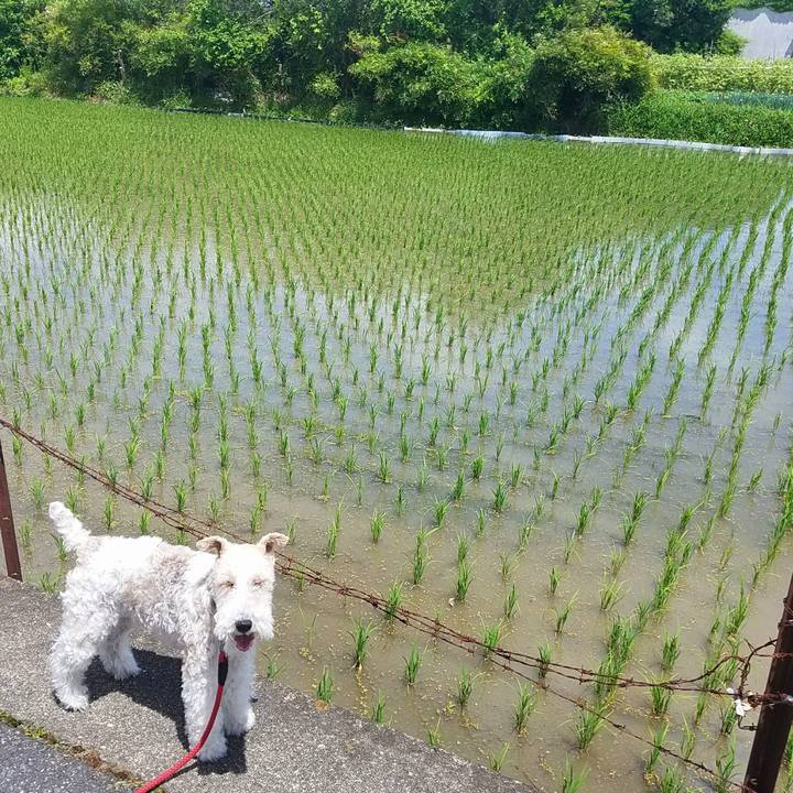 A182bed6 cbb7 4972 9aef c5c564b867e7 1526738540548