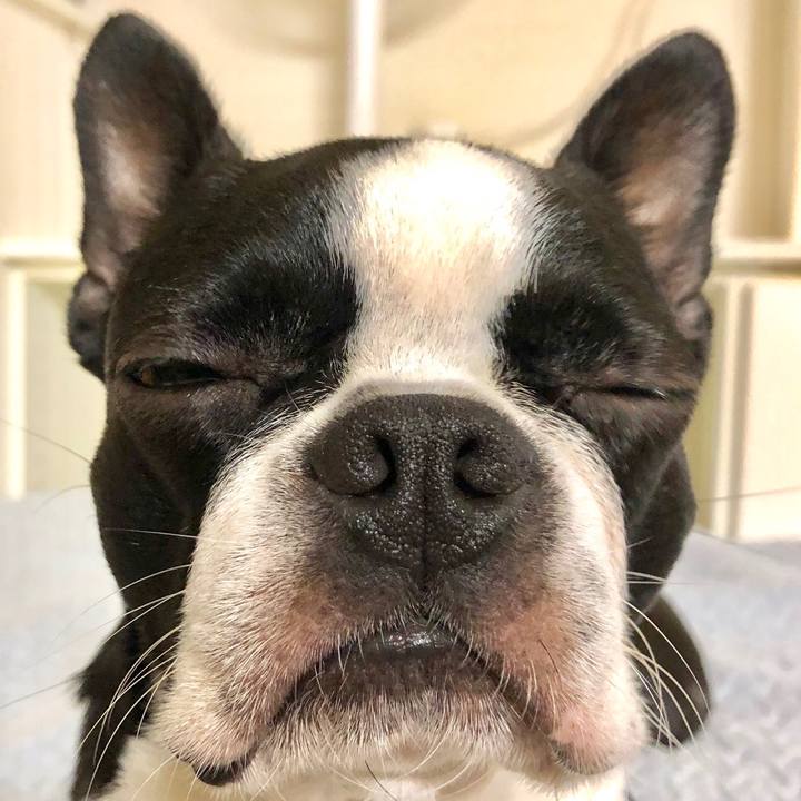 A182dda4 ee7b 4d5d 8d61 00f7db290b6e 1529578270215