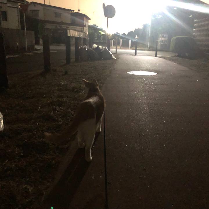 A182f29c 9bcf 48ab ba1c 3e63668460fc 1564918379374