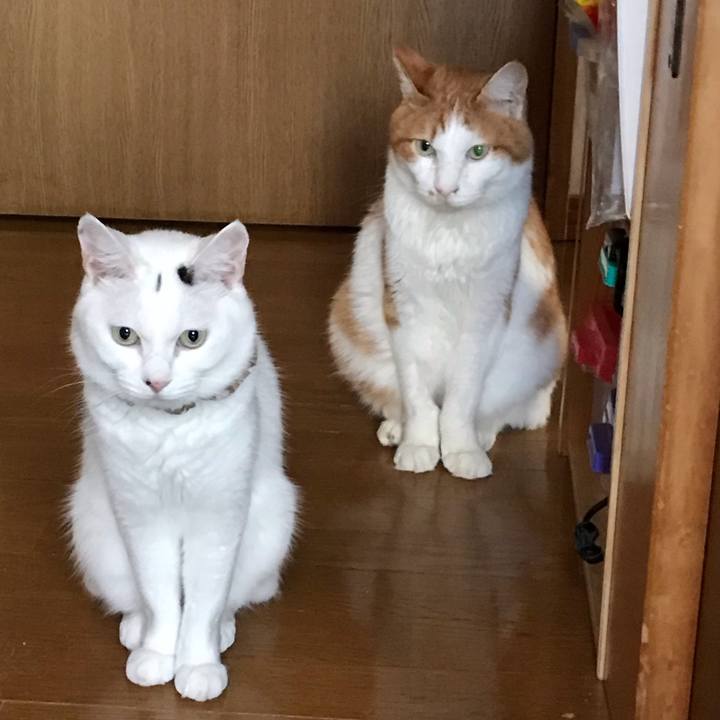 A1834eea a392 43aa 837f 518155c56587 1627508663804