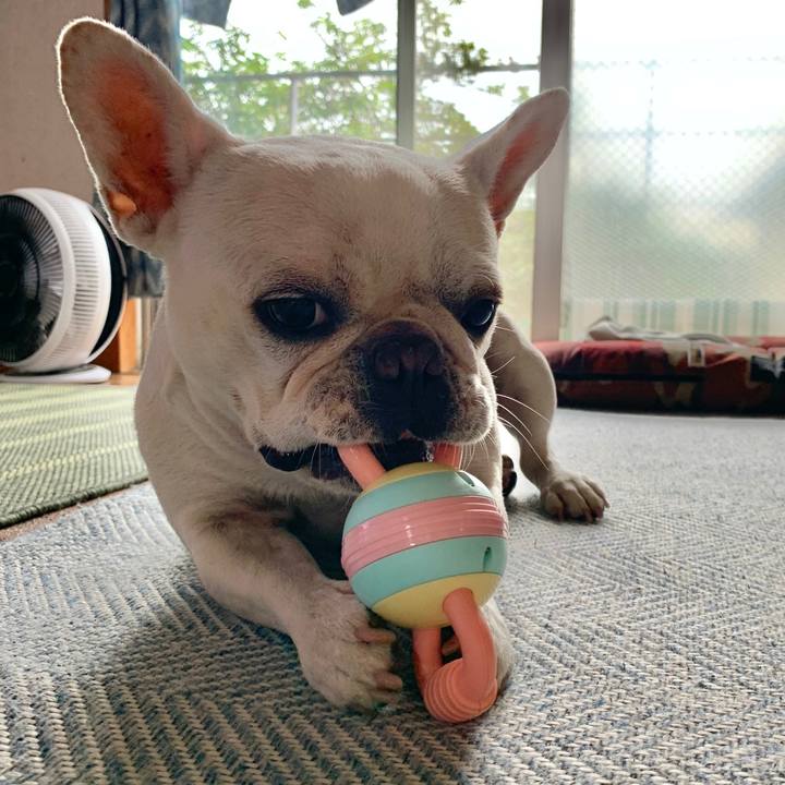 A183554b f4ae 49ee 8137 c226df024726 1718923080149