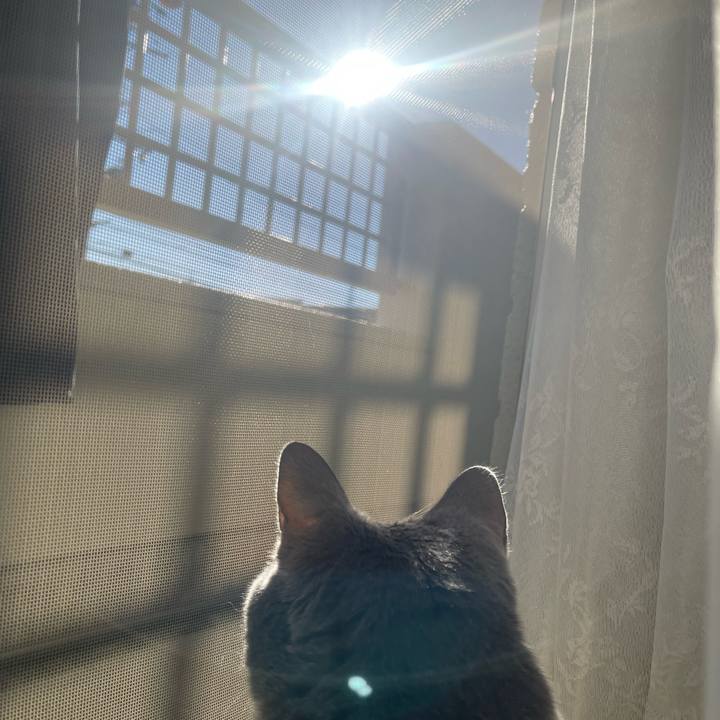 A1835aaa f7c9 43a2 9830 1fac8fb6d0b8 1737784994302