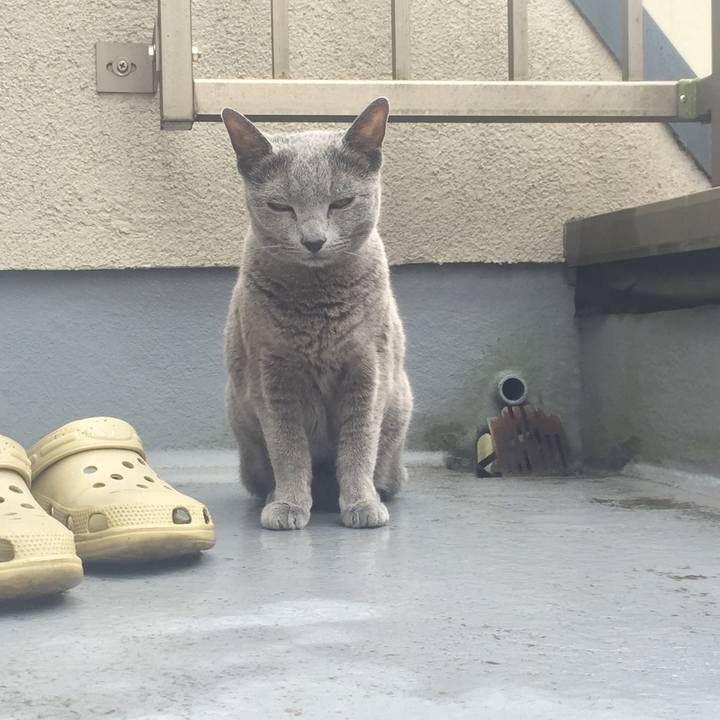 A18392f5 a21e 4892 858e 2f873dfd929c 1560159064201