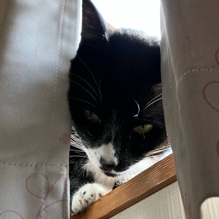 A183b3cd aefa 463d a726 93dc9acf40a3 1669693181367